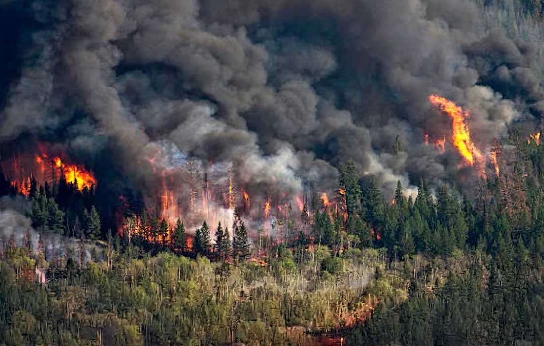 Europe wildfire emissions hit 23-year high