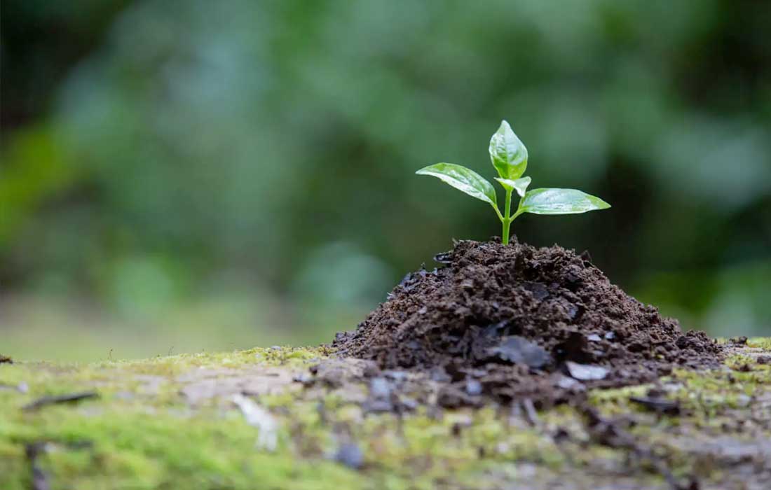 IUCN Congress Abu Dhabi 2025 to lead conservation