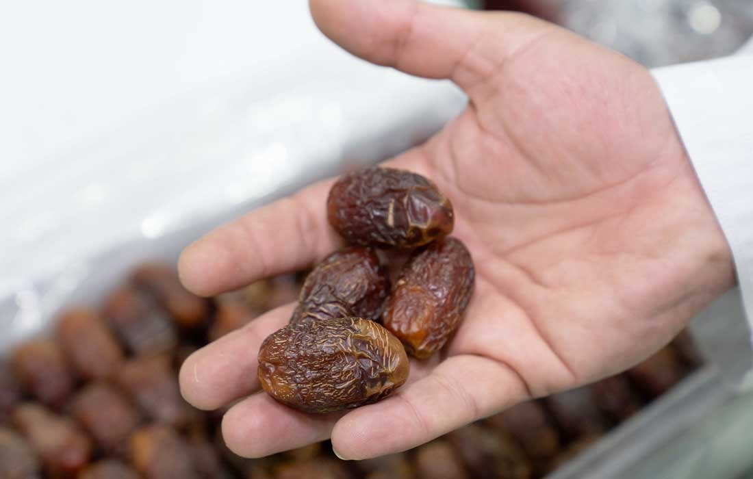 Al Dhafra Dates Festival boosts UAE agriculture
