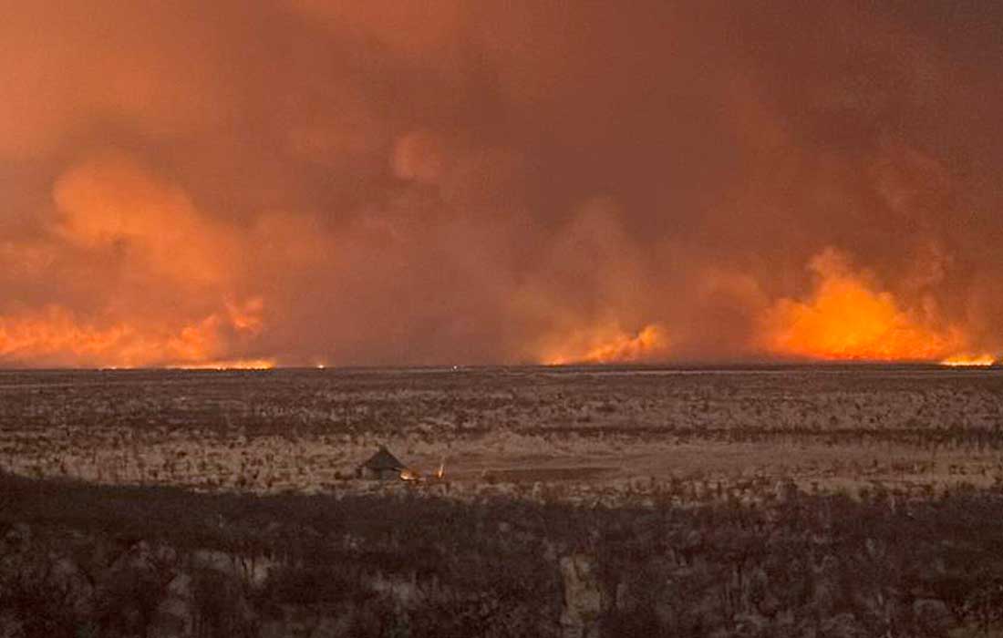 Etosha National Park fire destroys vast wildlife habitat
