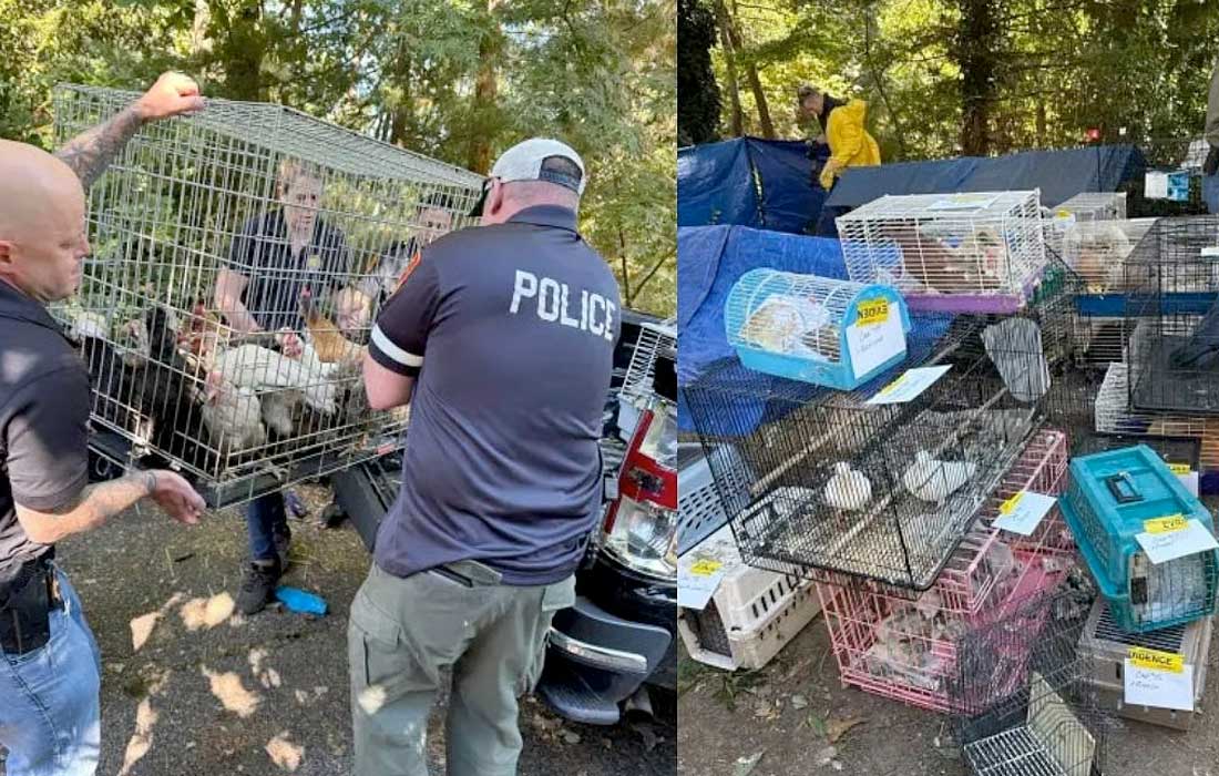 New York couple charged: 200 animals found in house of horrors