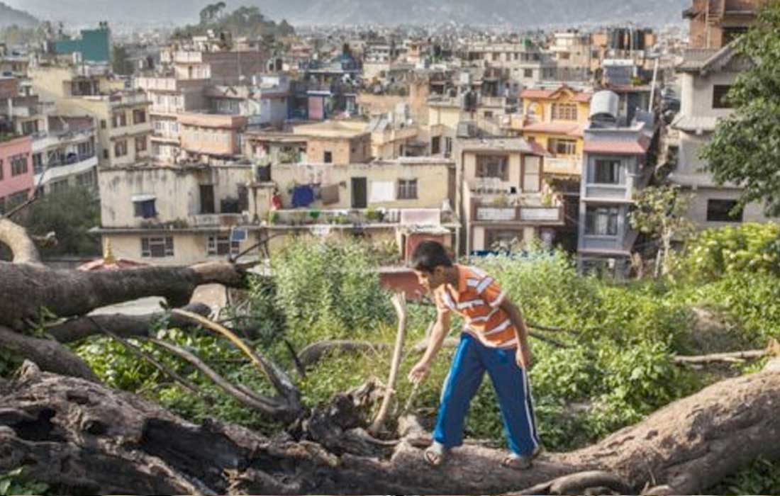 UN calls for urban crisis response